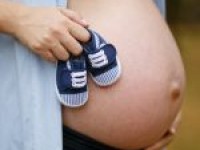 Hamilelikte Gizli Tehlike: TOKSOPLAZMA